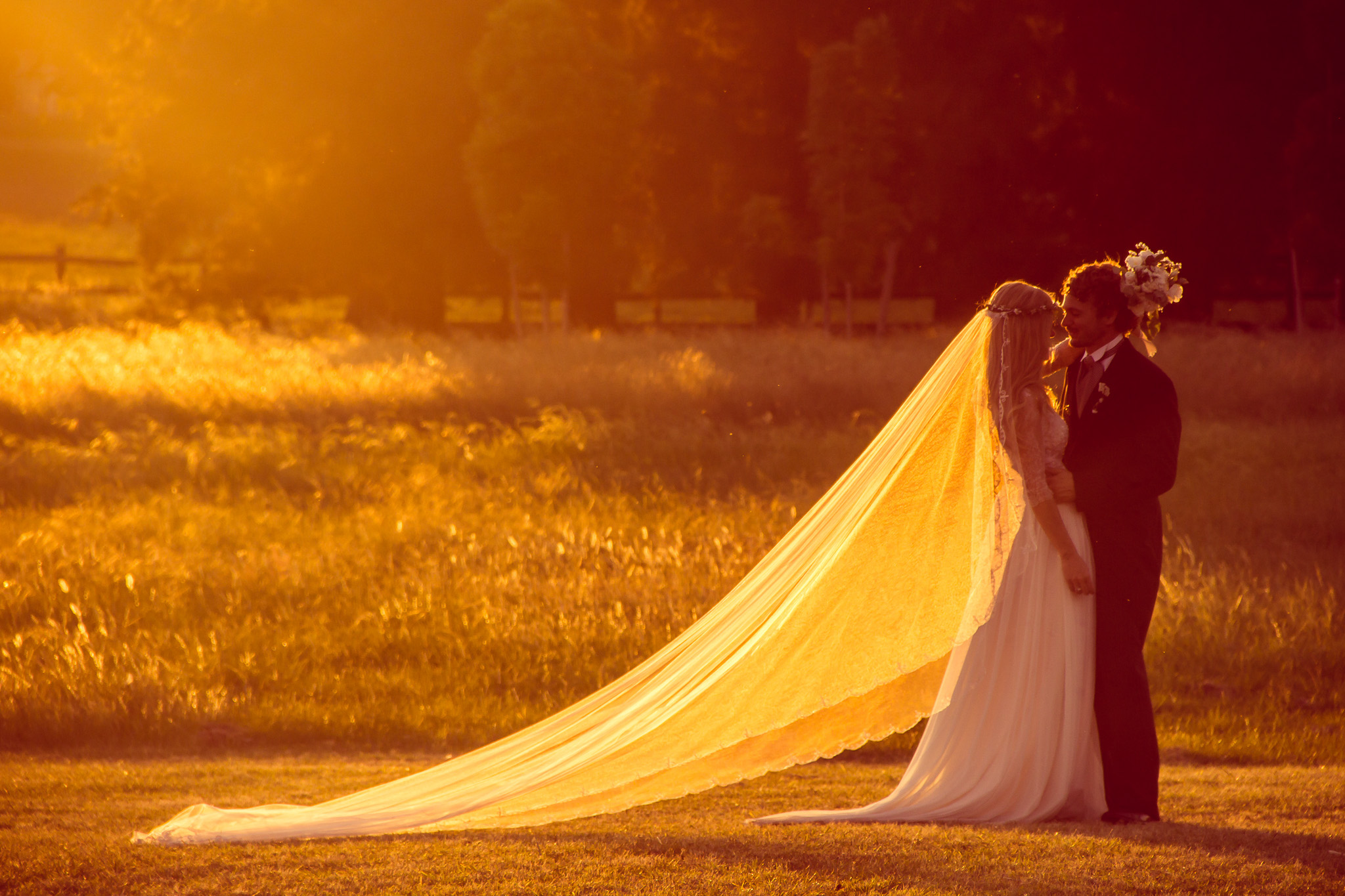 20141123 1123 casamiento luz y fer 2872